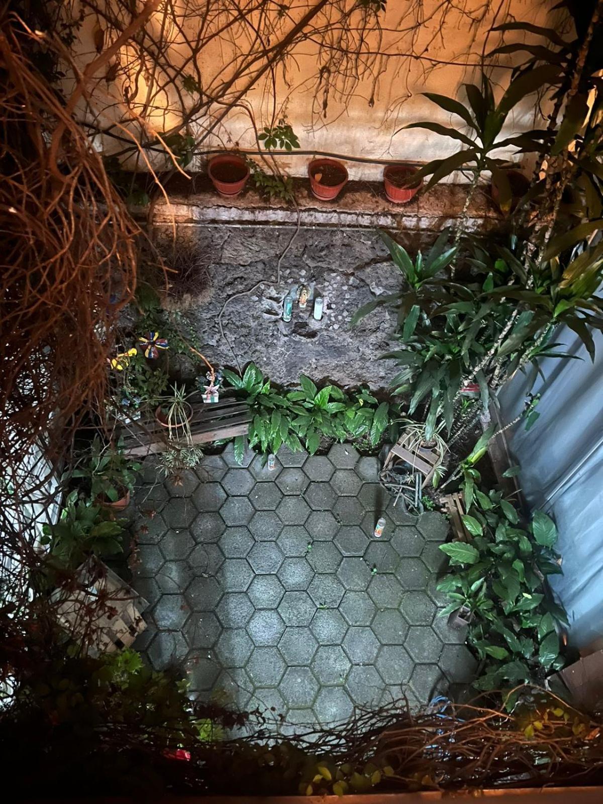 Las Rosas Mexico-stad Buitenkant foto